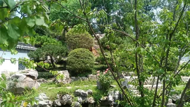 This stone bridge has a long history