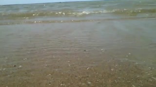 Filmando o mar bem de perto, pequenas ondas e um lindo horizonte [Nature & Animals]