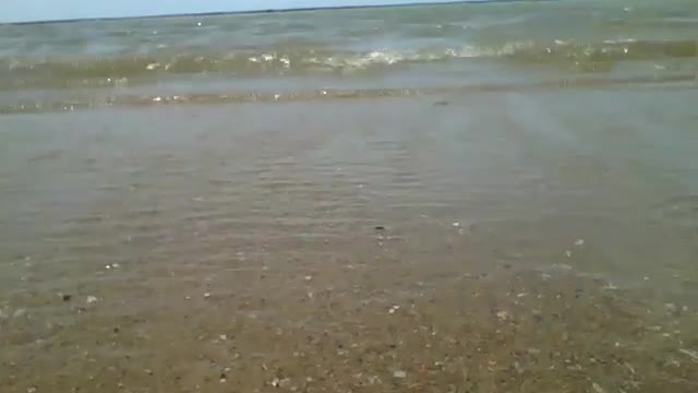 Filmando o mar bem de perto, pequenas ondas e um lindo horizonte [Nature & Animals]