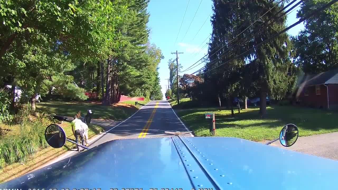 Trucker Saves Dog