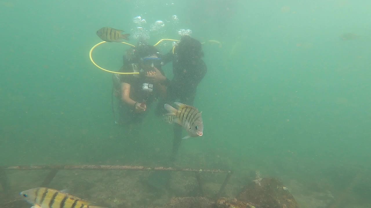 Scuba Diving at Malvan,Tarkarli