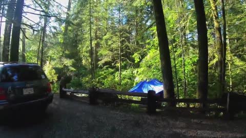 20210911 Muir Creek Goldstream Prov Park