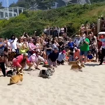 Did not expect that…