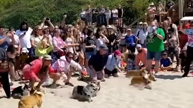 Did not expect that…