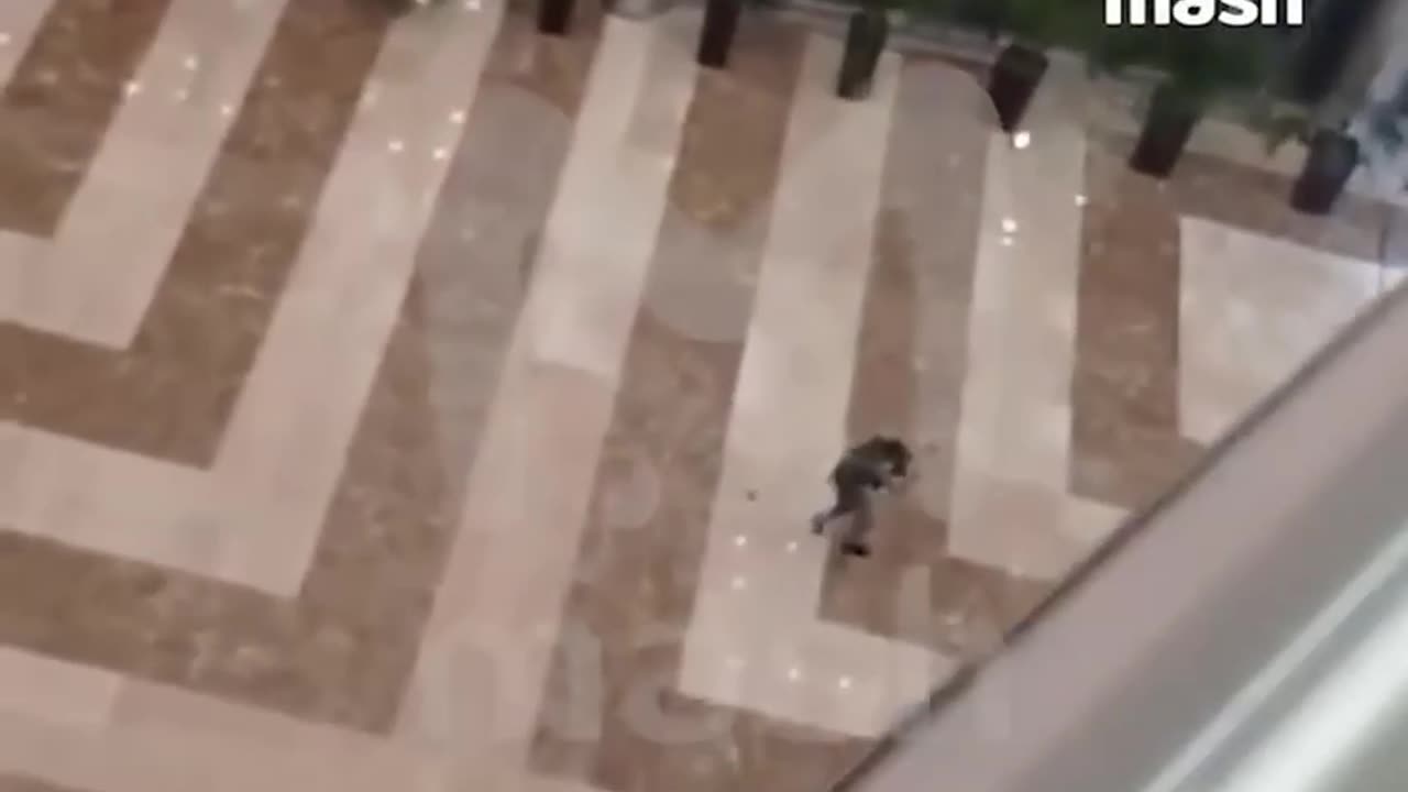 Isis shoots up Moscow concert Hall #2