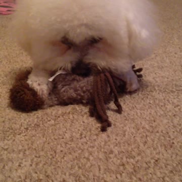 Sophie with her stuffed donkey