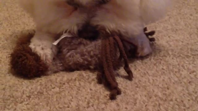 Sophie with her stuffed donkey