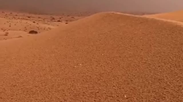 desert rain