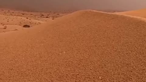 desert rain