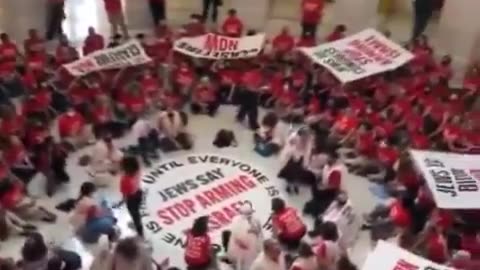 Pro-Palestine/Hamas protesters took over the US Capitol