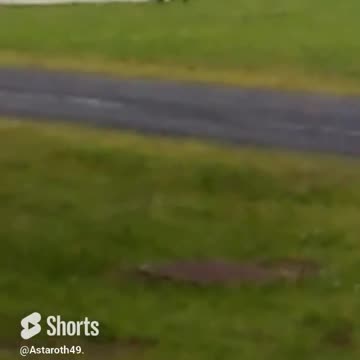 I feel like I should be running. #wildlife