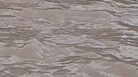 River ganga