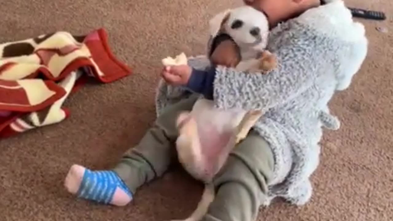 Baby playing with cute puppy