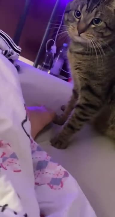 Hey Thats My Foot“ The Cat: „Oh Really?… Even Better“ 😳😏