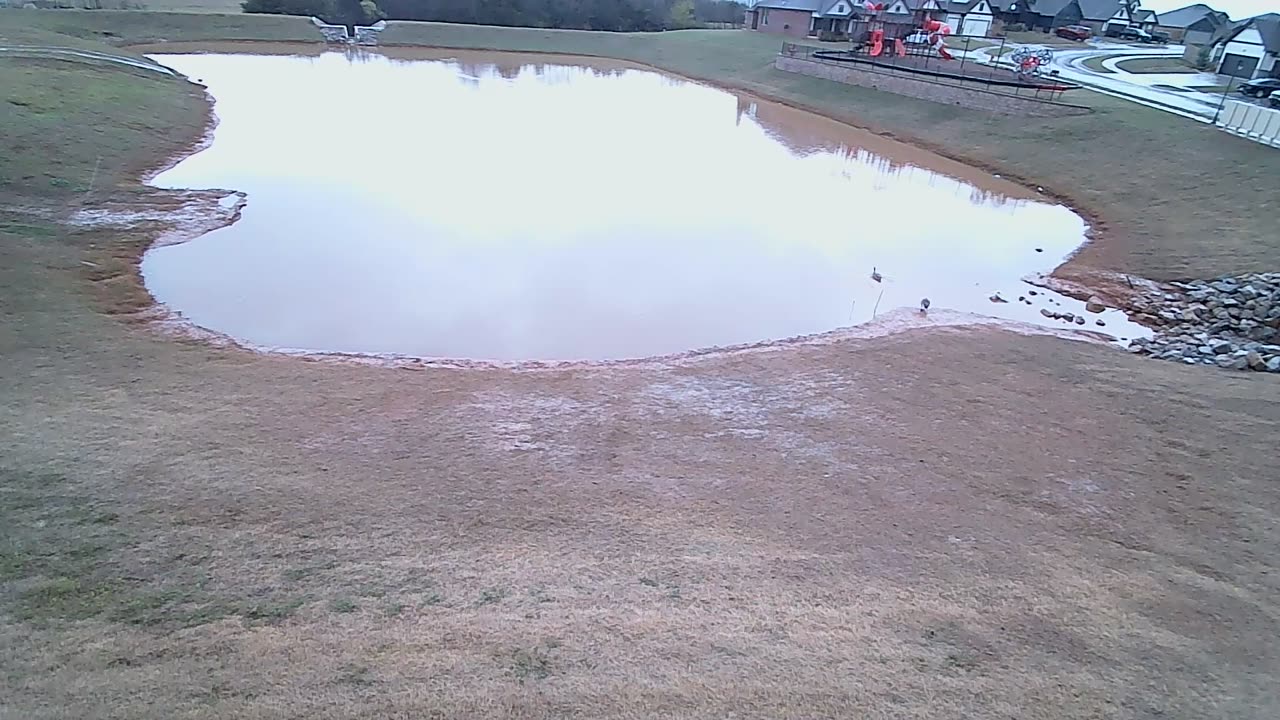 The Pond