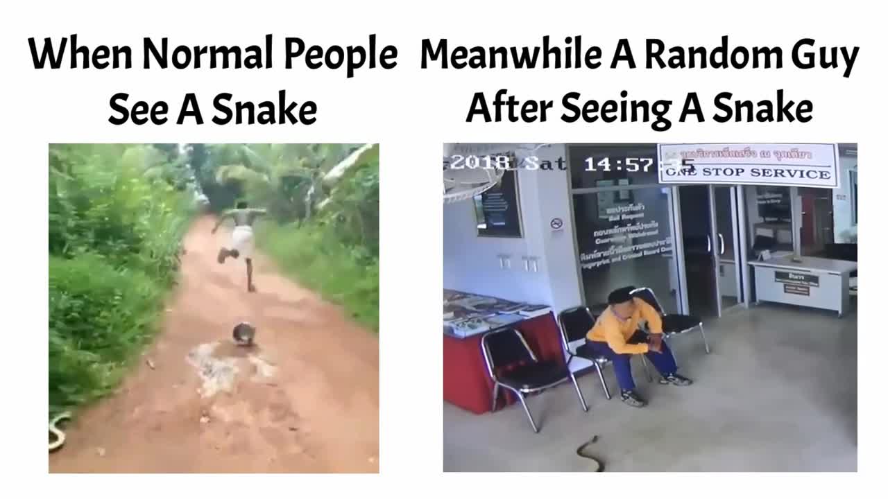 normal vs pros after seeing a snake