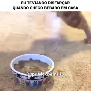 me trying to disguise when I get home drunk