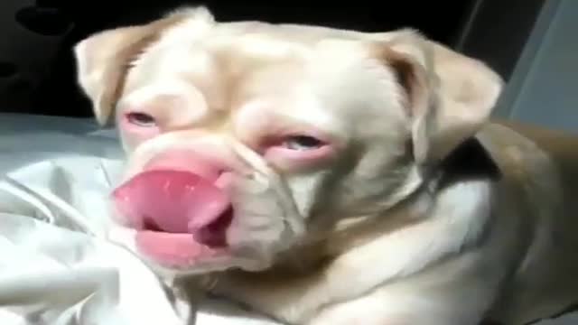 It doesn't seem happy