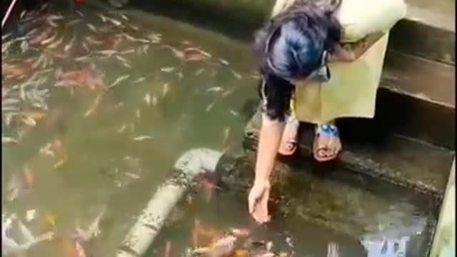 Fish Beauty