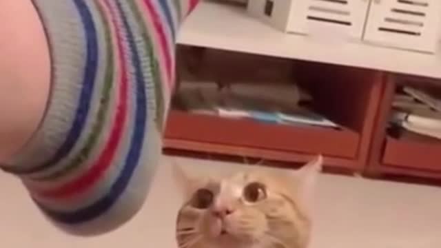 This battle will be legendary // #Shorts