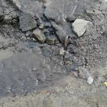 The stream flows calmly.