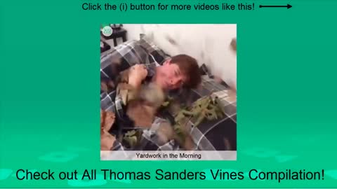 Thomas Sanders Narrating People's Lives Vines.