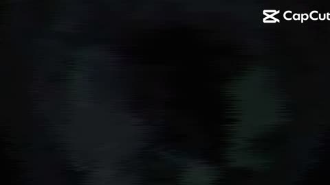Digiart 13