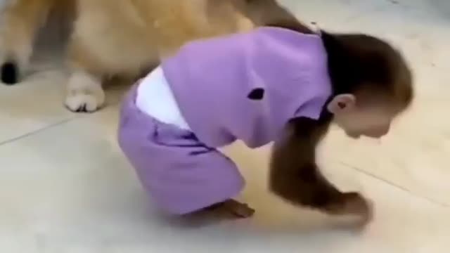 Cat and Monkey cute fight