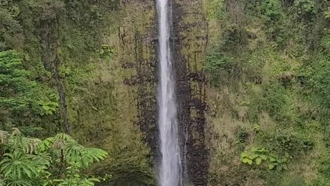 Beautiful Akaka falls Big Island Hawaii