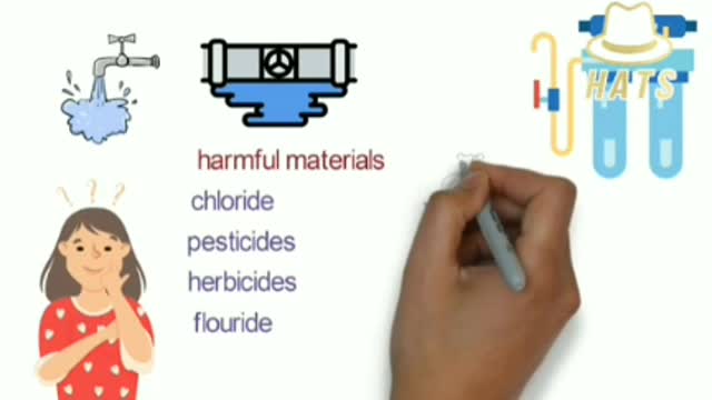 The Importance of Your Pineal Gland