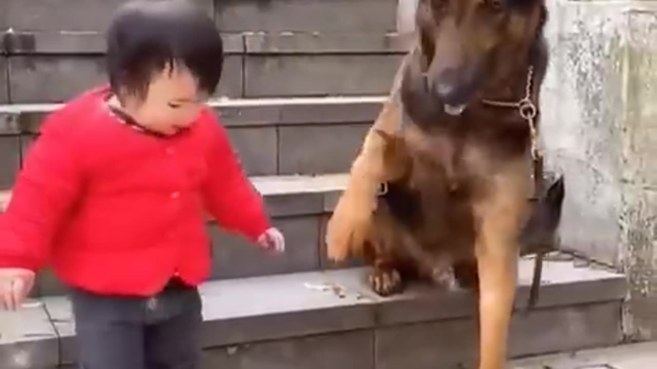 The Cutest Babysitter Ever! #cutebaby #dog #cat #cute #kitten #pets