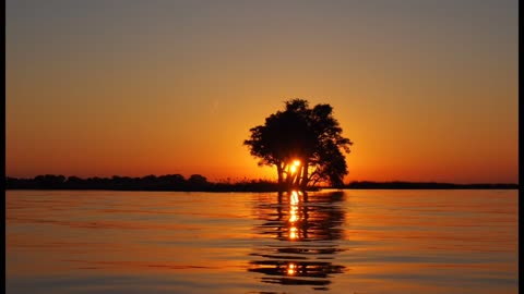 meditation Relaxation Calming Peaceful