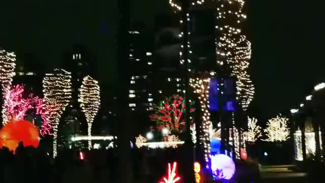 Luces de navidad