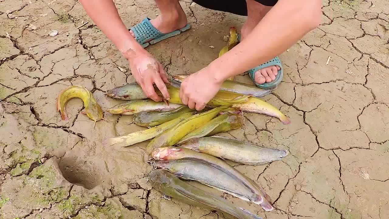 NO. 4 YOU HAVEN 'T SEEN THIS YET !!! EVERYONE WATCH!!! AMAZING WONDERFUL FISHING