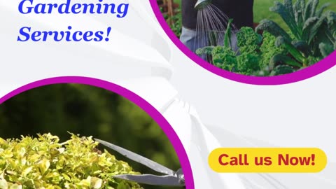 Home Gardening Services Bangalore