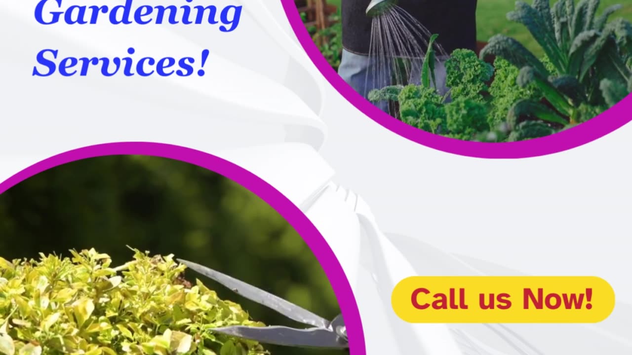 Home Gardening Services Bangalore