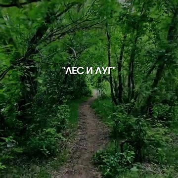 СЫН МИЛЛИОНЕРА #shrots #tompitai #томпитай