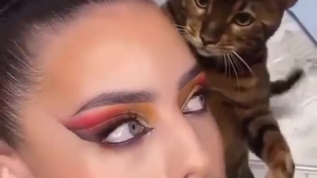 CAT ATTACKS - YOU ARE DONE | Captioned