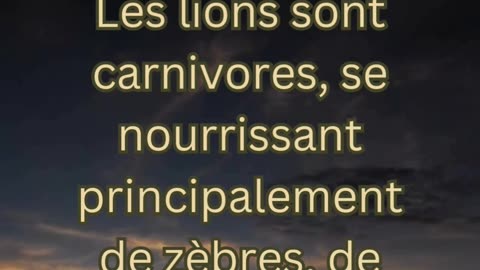 Fait sur le Lion 5 - Que mangent les lions?