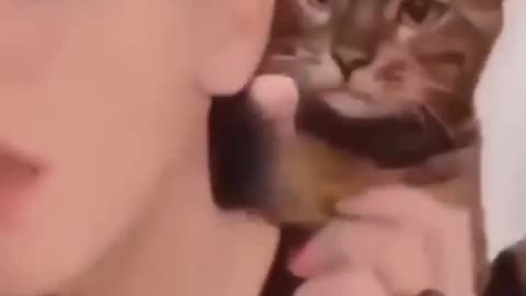 Rolling, slip, falling funny video
