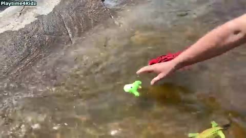 Learn Sea Animals Summer Toys
