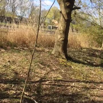 Sunny weather in Netherlands 🇳🇱 Amsterdam