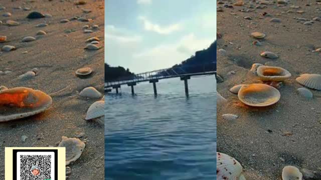 PRAIA DO MOLEQUE ANGRA DOS REIS-RJ