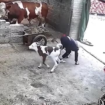 Big fails ������