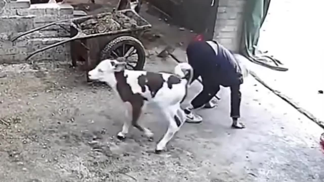 Big fails ������