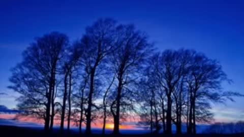 songs to relax and meditation 2022