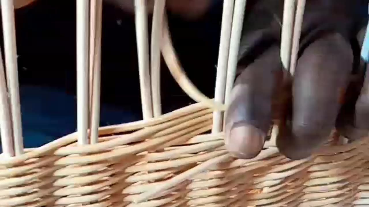 How rattan chair weaving is done.