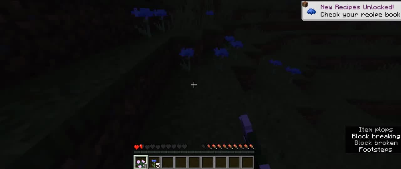 minecrafttiktokhacks_minecrafthacks_minecrafttiktok_shortsminecraft_1 (64)