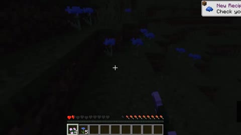 minecrafttiktokhacks_minecrafthacks_minecrafttiktok_shortsminecraft_1 (64)