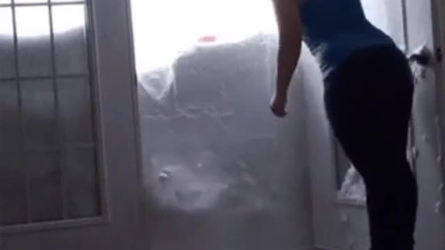 Cat run through a snow wall